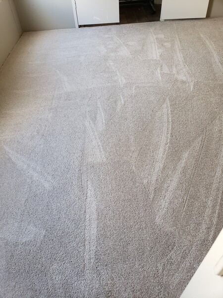 Carpet Cleaning in Arlington, TX (1)