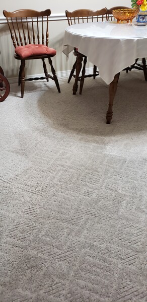 Carpet Cleaning in Arlington, TX (1)